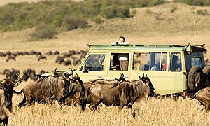  8 Days 7 Nights Kenya Safari - Tsavo West, Amboseli, Lake Nakuru & Masai Mara (Driving) From Nairobi or Mombasa
