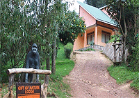 Gift of Nature Lodge – Bwindi Impenetrable National Park