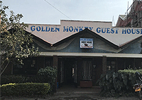Golden Monkey Guest House, Kisoro – Bwindi Impenetrable National Park