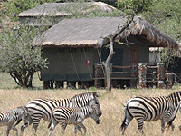 Grumeti Migration Camp – Grumeti Game Reserve