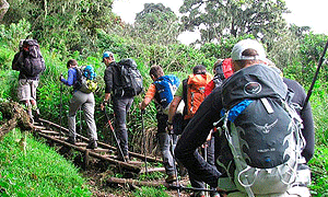 2 Days 1 Night Mount Meru Climbing, Short Trek/ Hike (Momela Route) – Arusha National Park, Tanzania