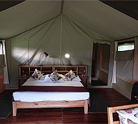 Hippo Trails Camp – Central Serengeti Game Reserve