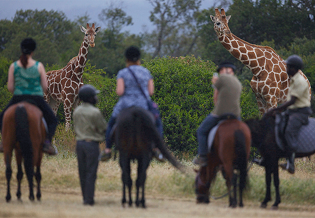 horse-back-riding-aberdare-country-club-3-days-2-nights-safari-holiday-from-nairobi 3 Days 2 Nights Ark & Aberdare Country Club Safari