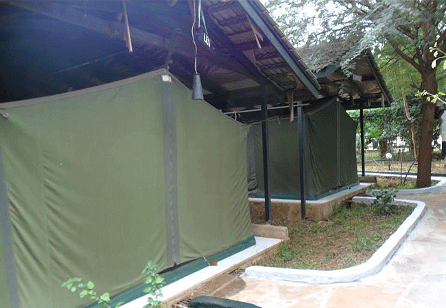 impala-safari-lodge-voi-offers-tastefully-designed-tents-which-are-self-contained-facing-the-swimming-pool Impala Safari Lodge Voi