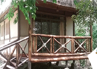 Ishasha Jungle Lodge, along River Ntungwe – Queen Elizabeth National Park