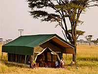 Kampi Kampi – Serengeti National Park