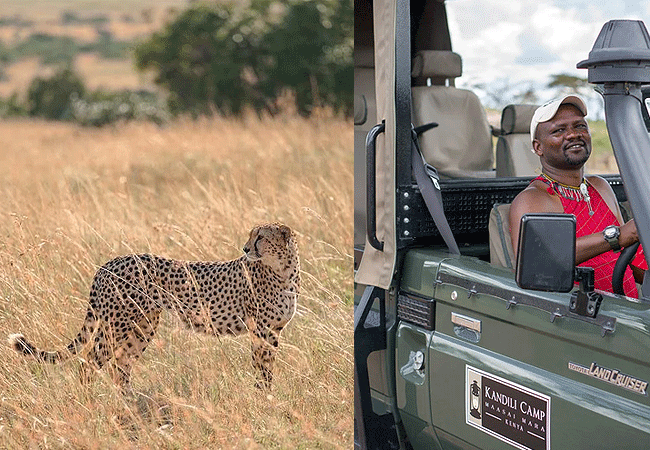 Kandili Camp Masai Mara Game drives