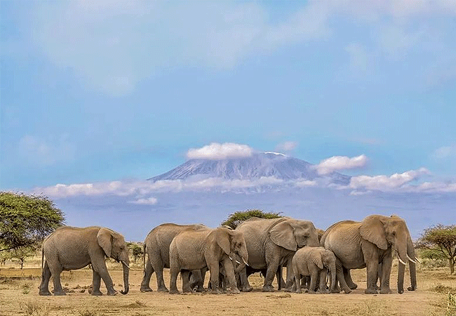 Kibo Villa Amboseli