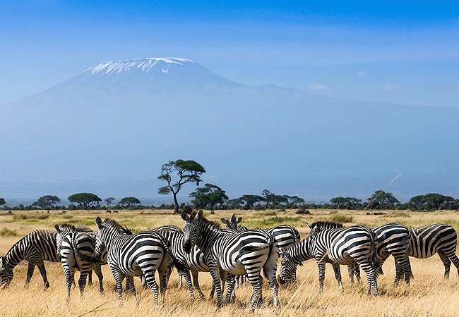 Kibo Villa Amboseli