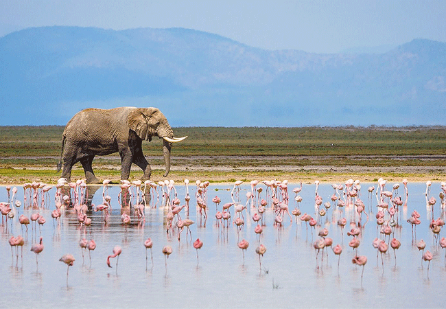 Kibo Villa Amboseli