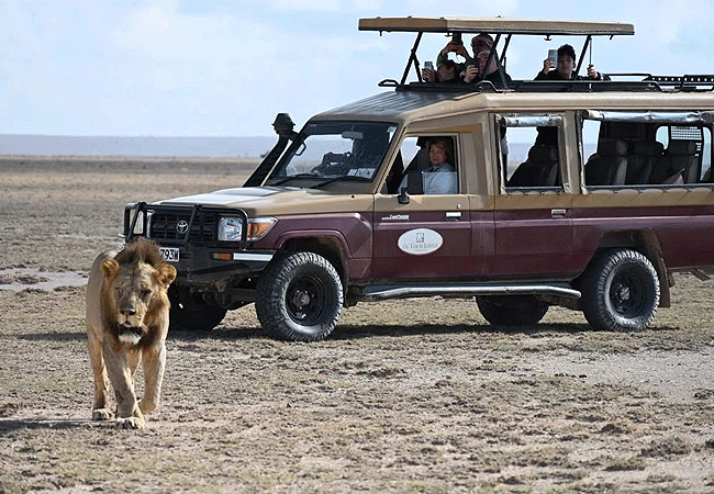 Kibo Villa Amboseli