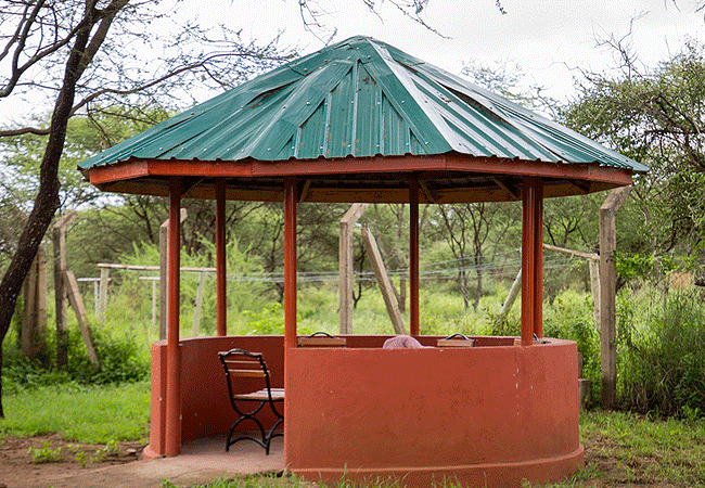 Kilimanjaro Guest House Amboseli National Park Kenya