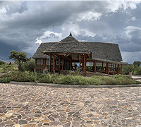 Kimalishe Serengeti Lodge – Serengeti National Park