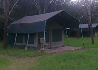 Kimana Amboseli Camp – Amboseli National Park