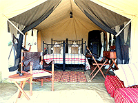 Kimondo Camp, Central Serengeti – Serengeti National Park