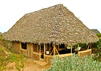 Kizingo Lodge – Lamu Island