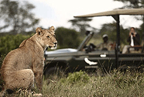 Andbeyond Kleins Camp Serengeti Luxury Flying Safari