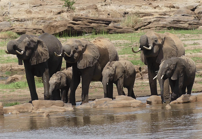 Kulalu Camp Tsavo East National Park