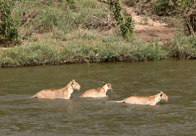 Kulalu Camp Tsavo East National Park