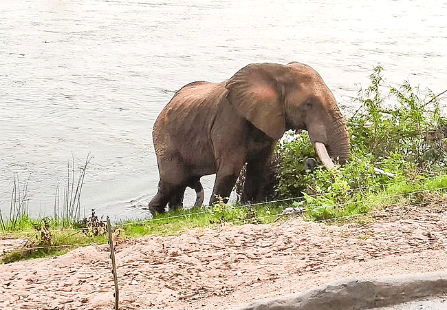 Kulalu Camp Tsavo East National Park