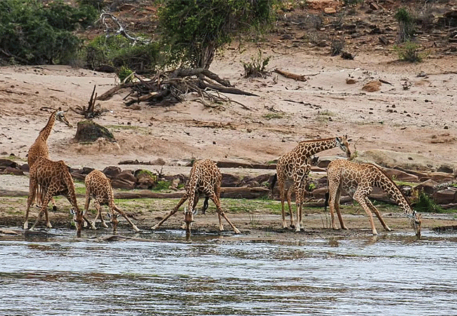 Kulalu Camp Tsavo East National Park