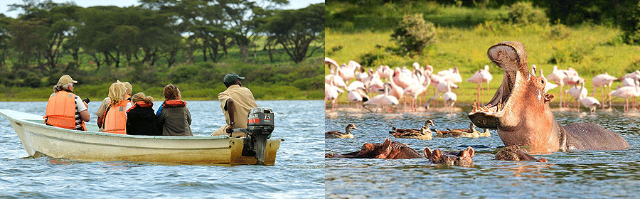 Boat safaris on Lake Naivasha