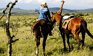  9 Days Kenya Fly-in Safari to Borana Conservancy Laikipia & Masai Mara Olderkesi Conservancy From Nairobi