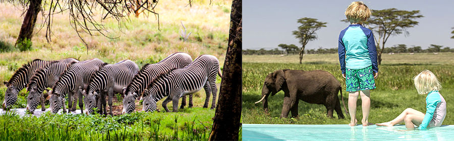 3 Days 2 Nights Lewa Downs fly-in Safari from Nairobi