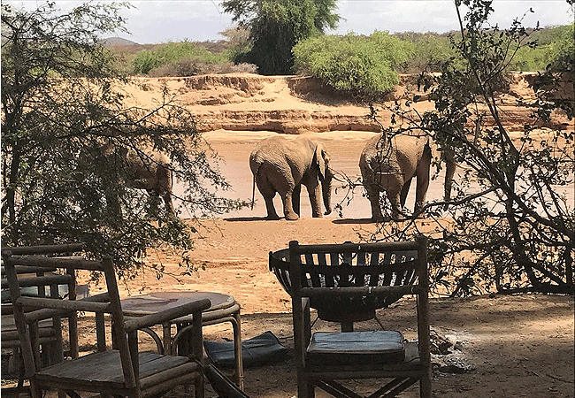 lion-king-bush-camp-samburu-guests-can-hire-the-camp-exclusivel-either-on-a-self-catered-part-or-fully-catered-basis Lion King Bush Camp Samburu National Reserve