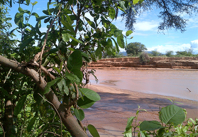 lion-king-bush-camp-samburu-view-of-the-river-flowing-along-the-camp Lion King Bush Camp Samburu National Reserve