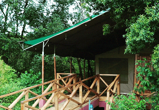 loyk-mara-camp-physically-challenged-tent Loyk Mara Camp