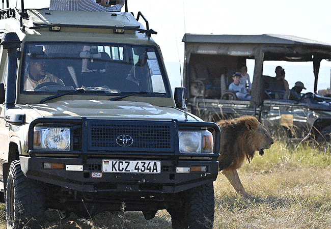 loyk-mara-camp-safari-game-drives Loyk Mara Camp