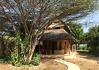 Mangrove House – Manda Island Lamu 
