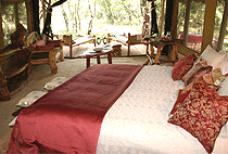 Mara Gypsy Luxury Safari Camp