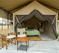 Mara Kati Kati Tented Camp(North Serengeti) - Serengeti National Park, Tanzania