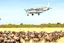  4 Days 3 Night Masai Mara Fly-in Safari from Nairobi