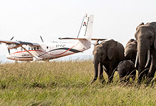  3 Days 2 Night Masai Mara Fly-in Safari from Nairobi