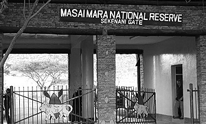 Masai Mara National Reserve & Conservancies