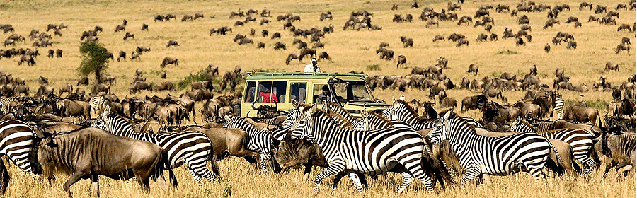 Masai Mara safari Holidays