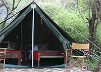 Maasai Simba Camp – Merrueshi Ranch Amboseli National Park