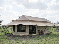 Mbugani Serengeti Camp, Central Serengeti – Serengeti National Park