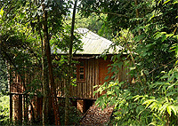 Middle Gorilla House, Buhoma – Bwindi Impenetrable National Park