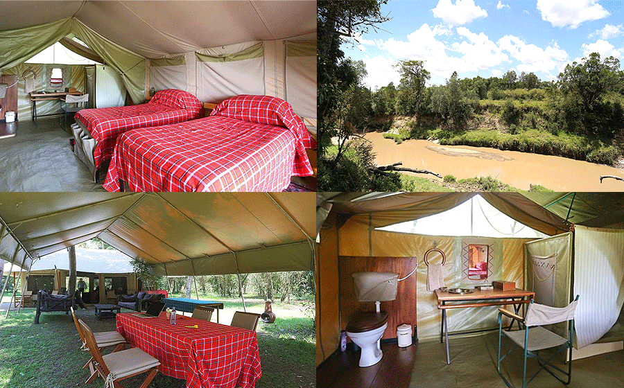 Nalepo Mara Camp Kenya