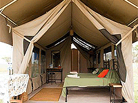 Ndutu Kati Kati Tented Camp, Central Serengeti – Serengeti National Park