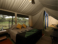 Ndutu Under Canvas Safari Camp – Serengeti National Park