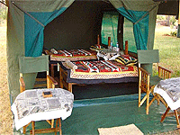 Wildlands Mobile Camp (Ndutu area & Central Serengeti) – Serengeti National Park