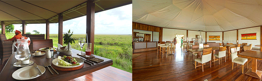 Ngerende Wild Lakeview Lodge Masai Mara