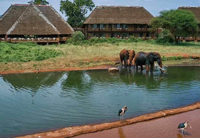 Ngutuni Safari Lodge Tsavo East National Park