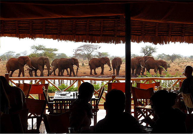 Ngutuni Safari Lodge Tsavo East National Park