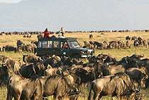 Nomadic Mobile Camp Masai Mara